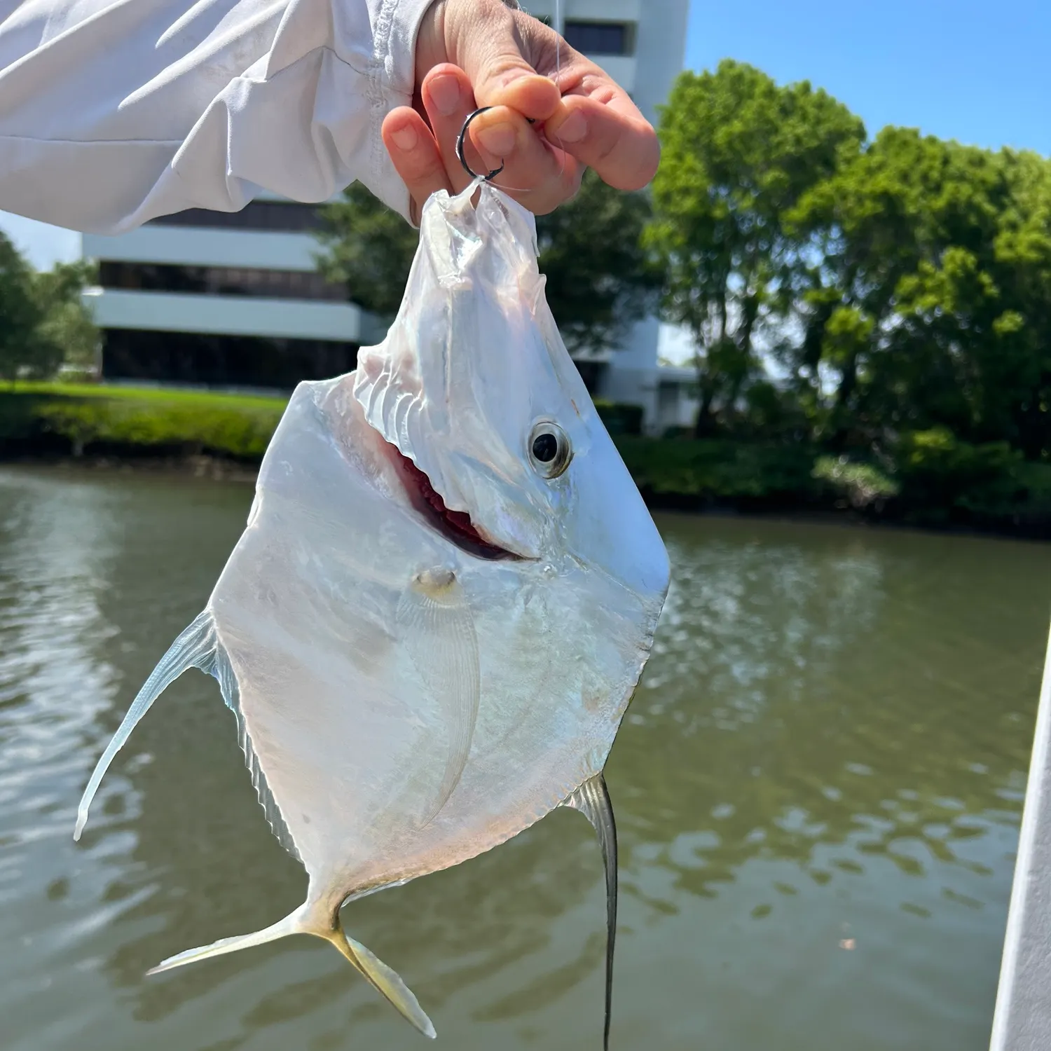 most liked catch image