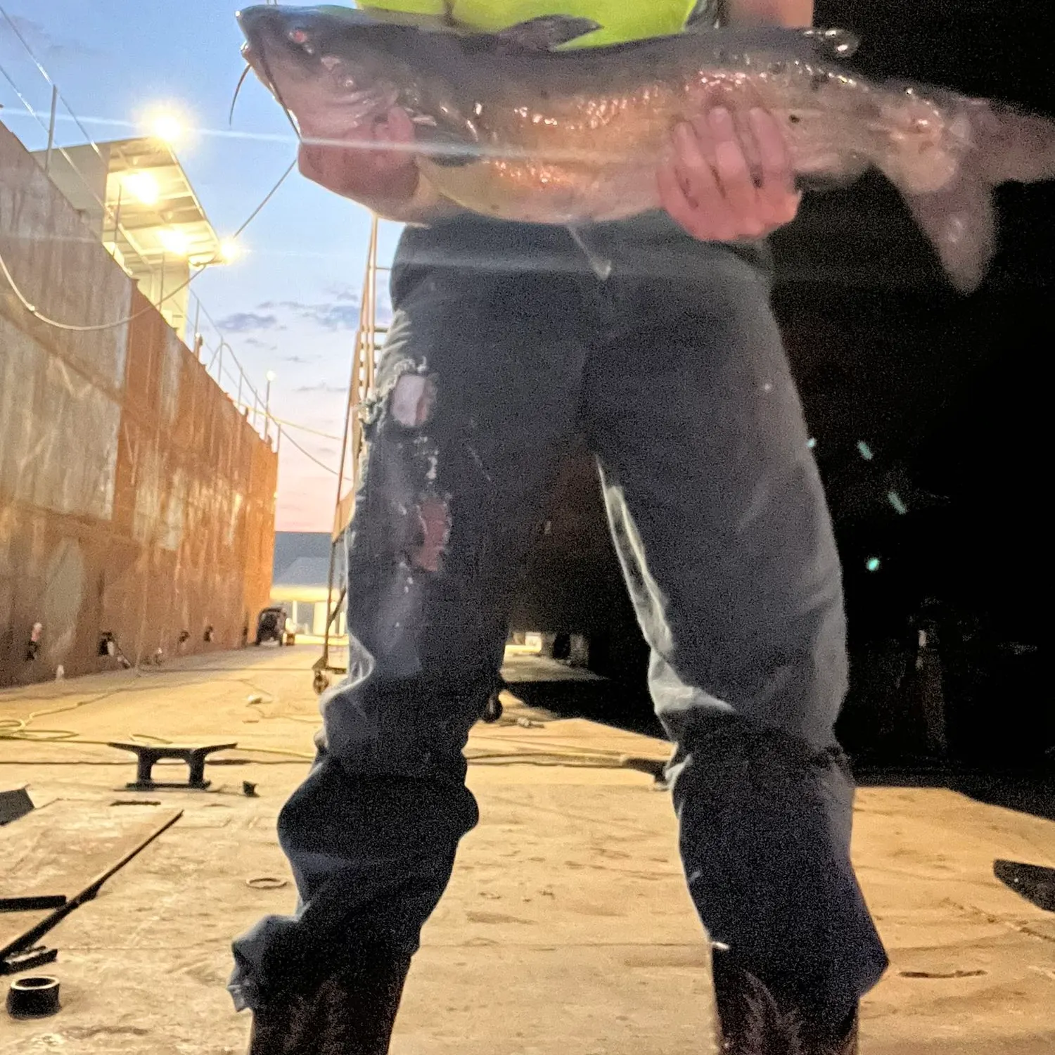 catch