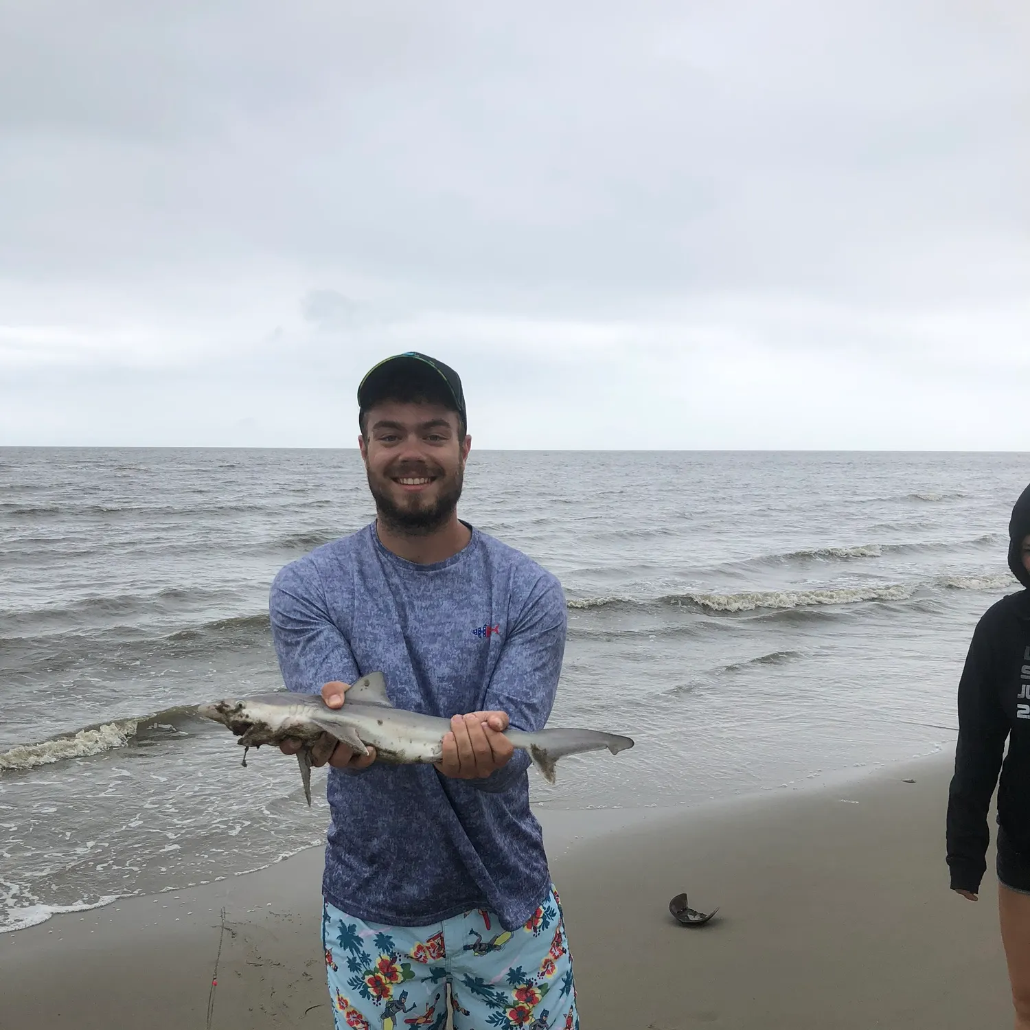 The most recent Blacktip shark catches on Fishbrain