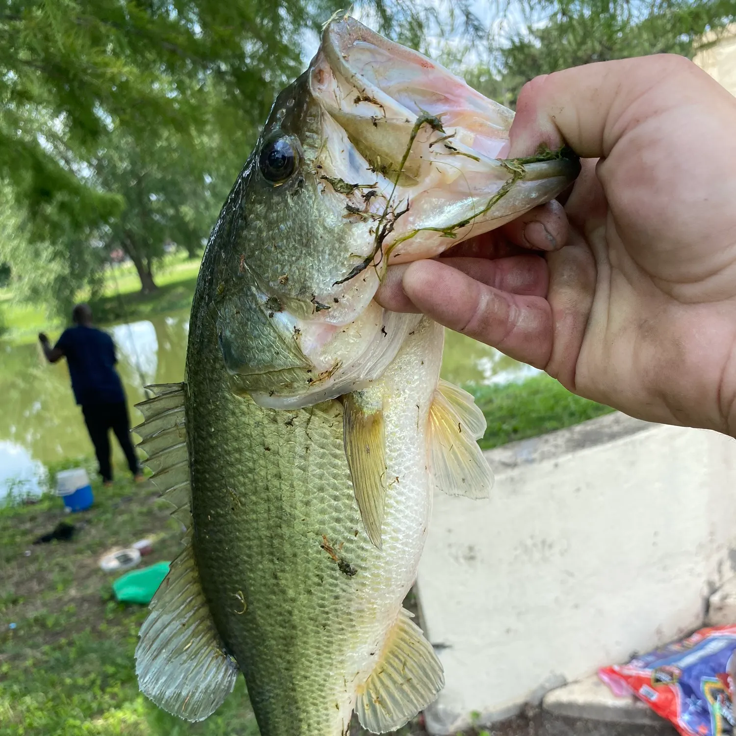 catch
