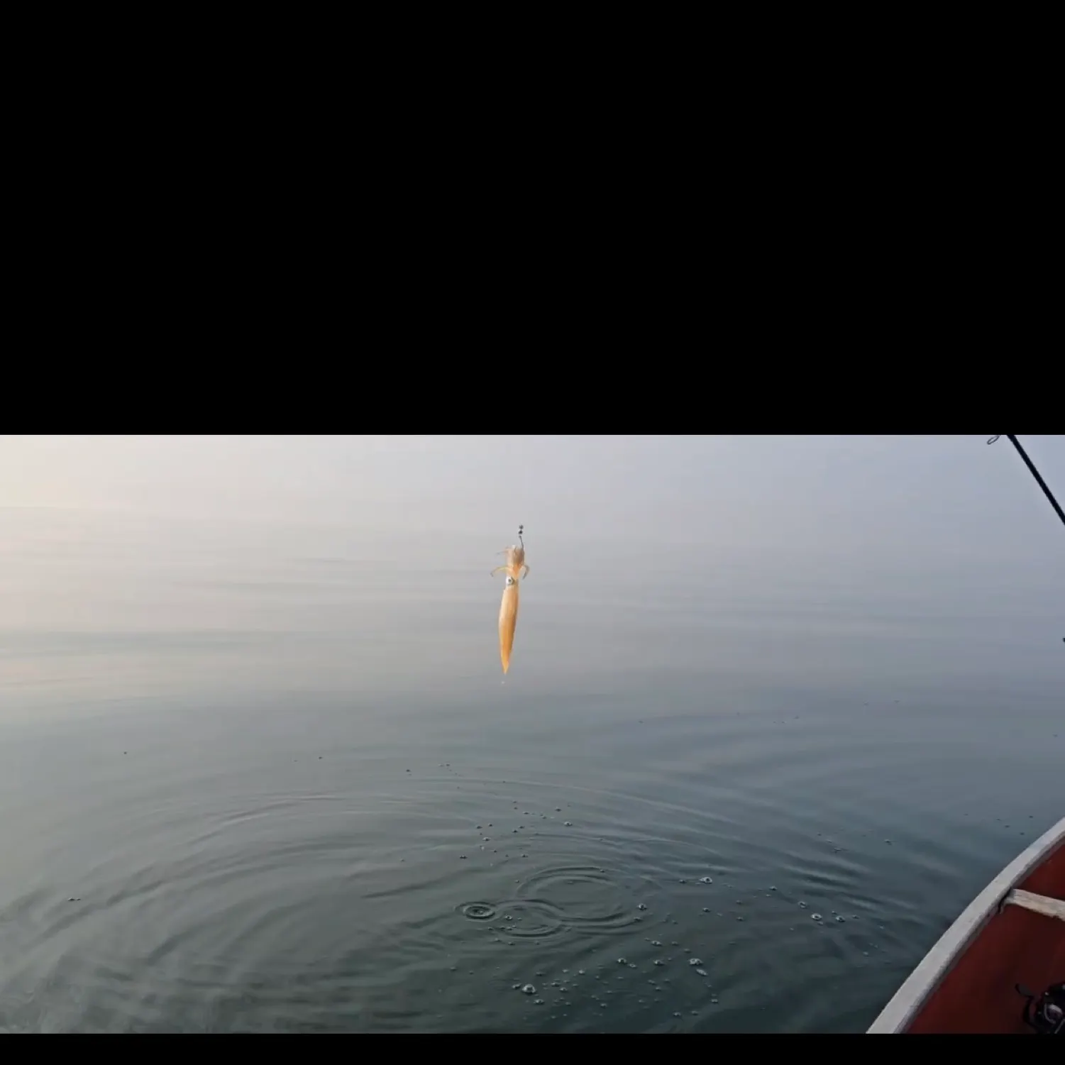 most liked catch image