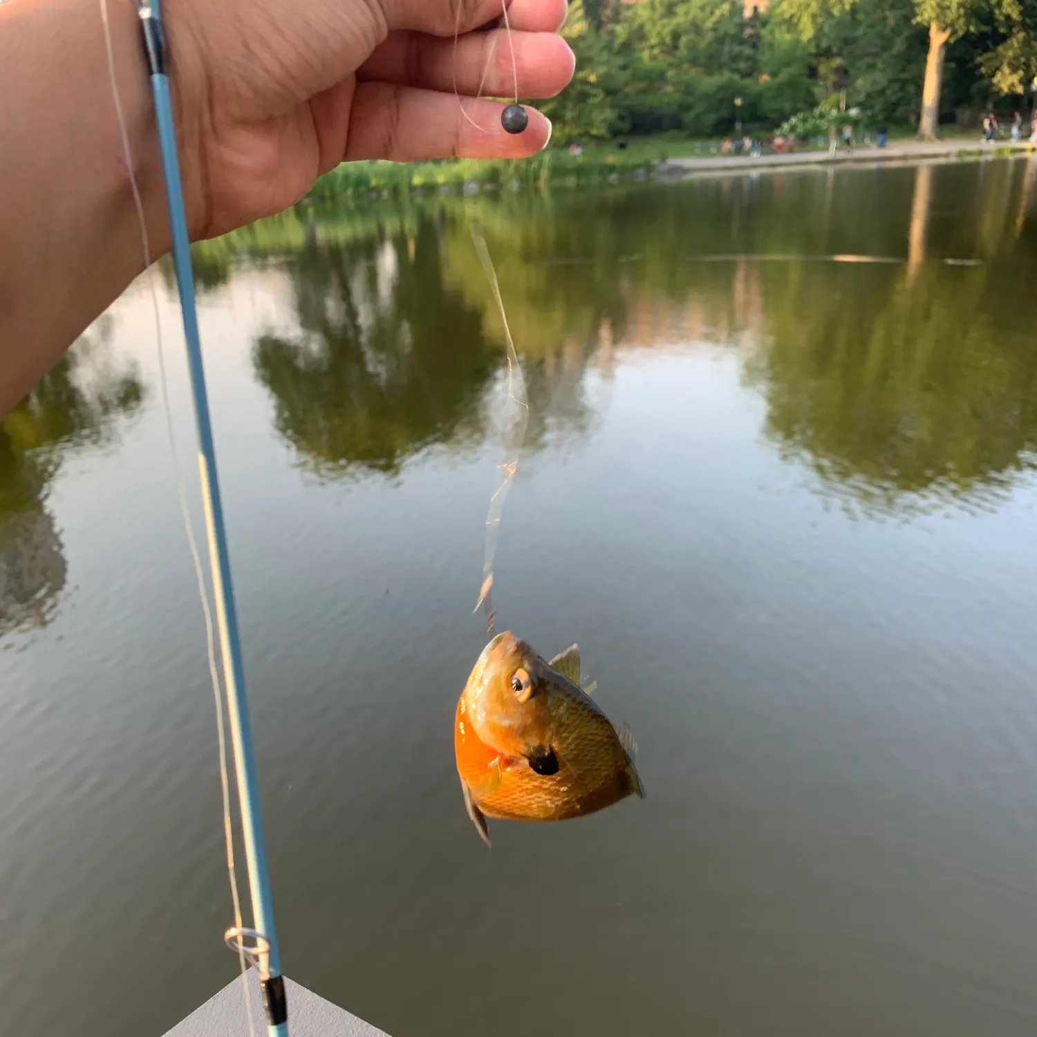 catch