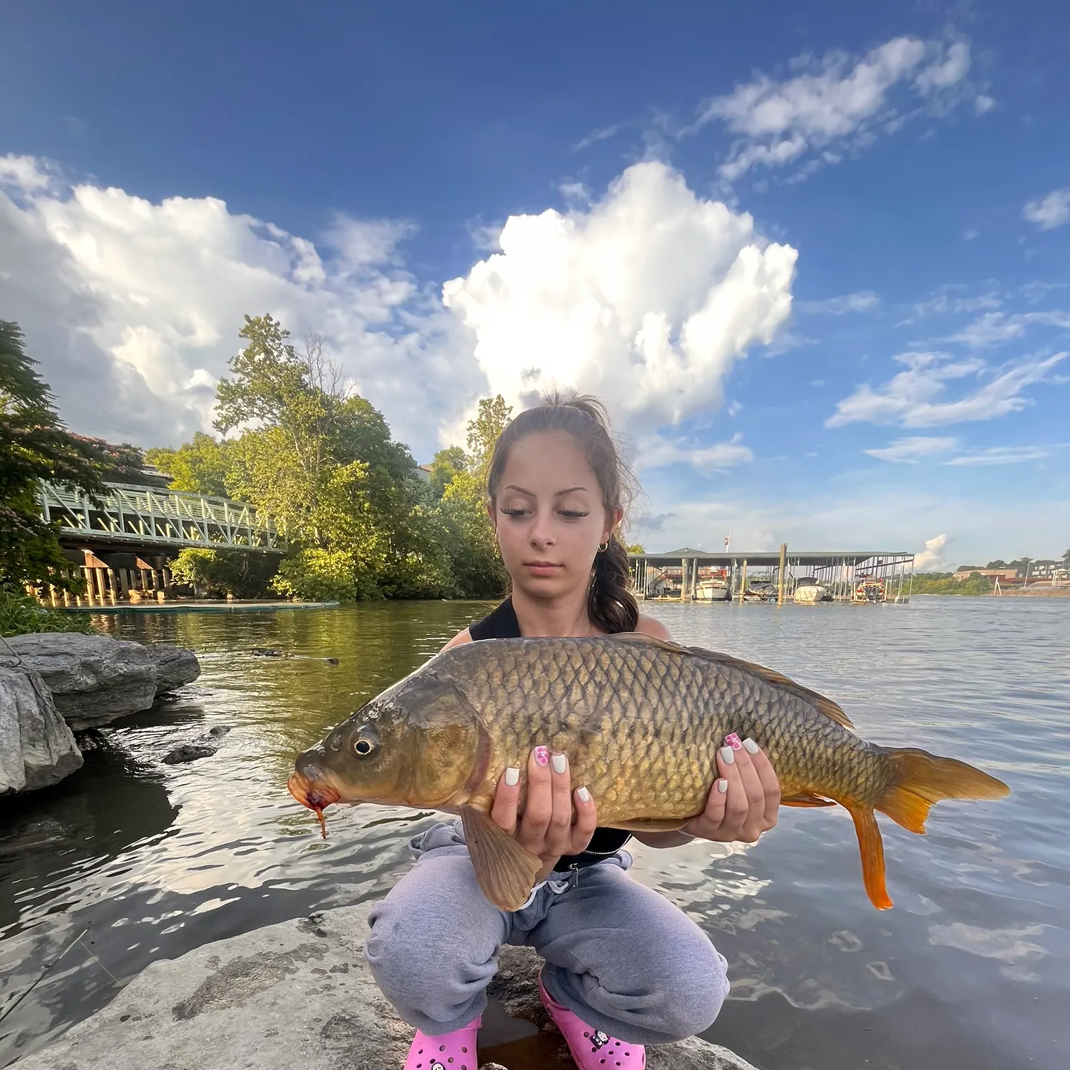 recently logged catches