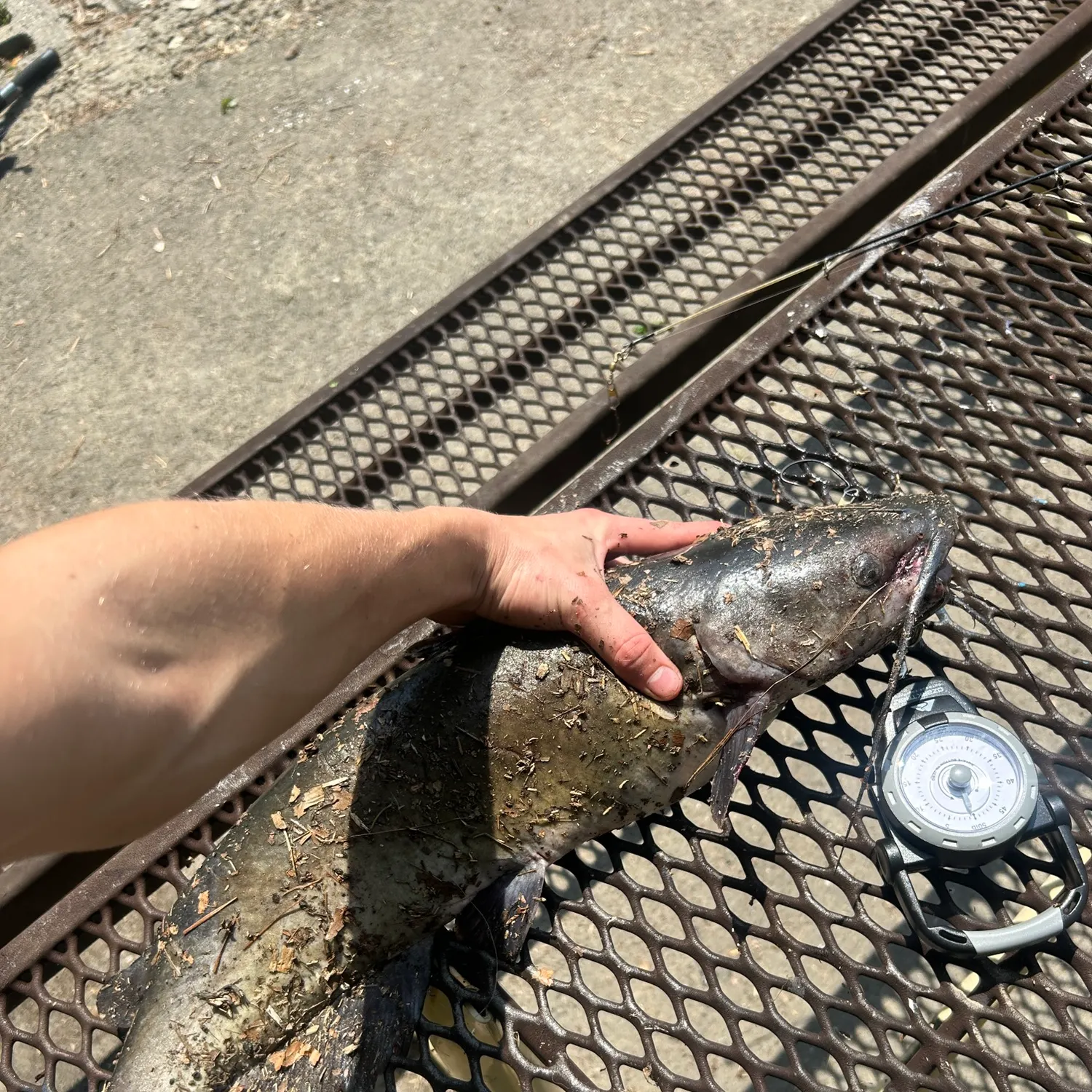 catch