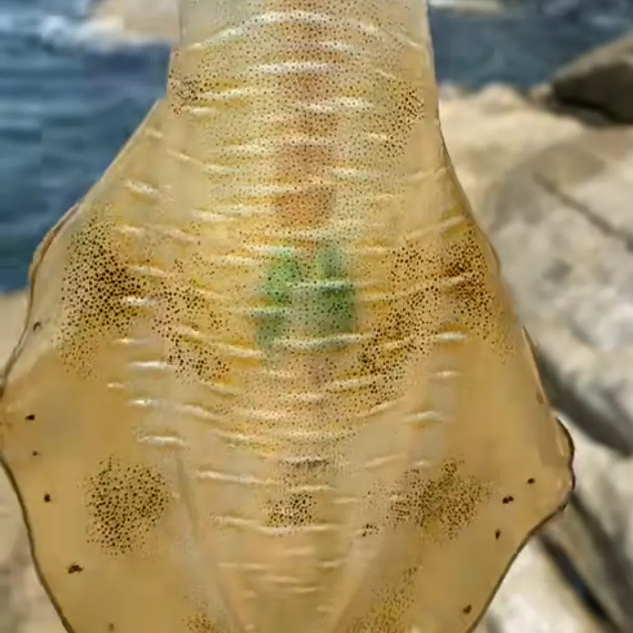 most liked catch image