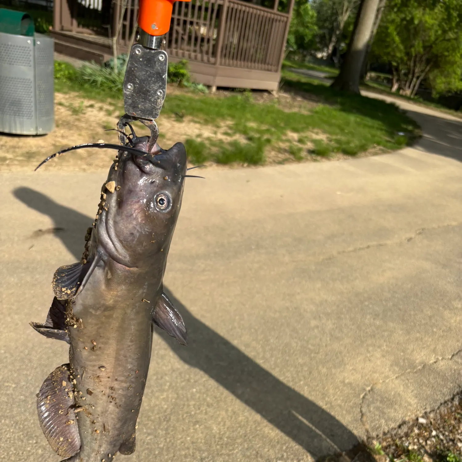 catch