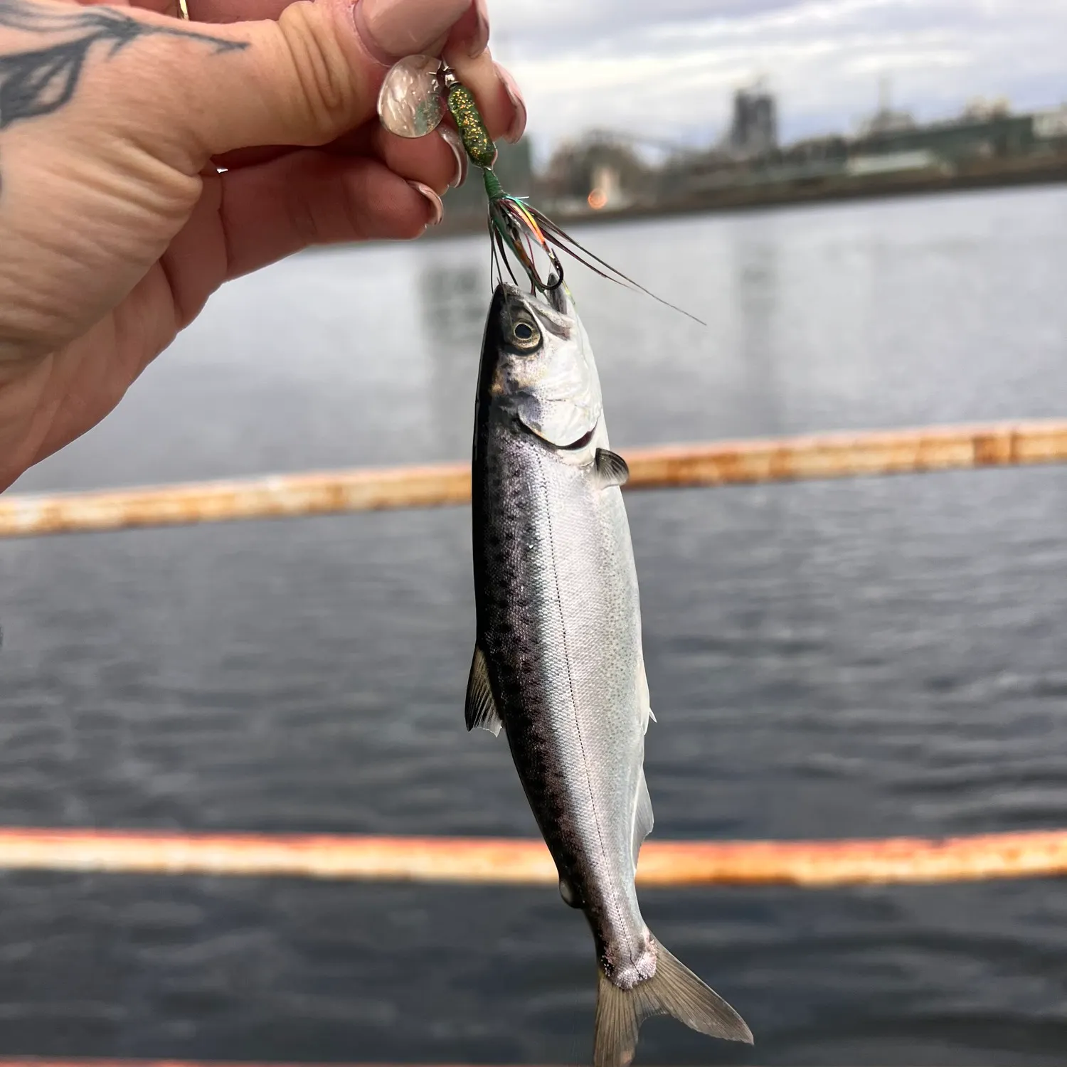 catch