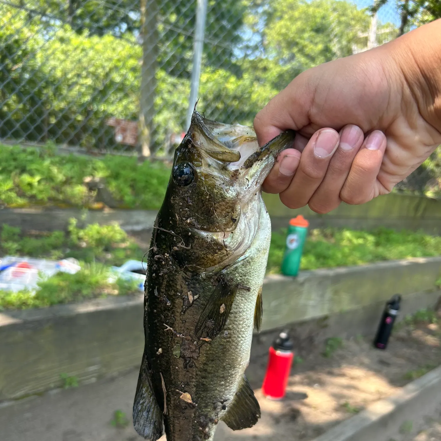 catch