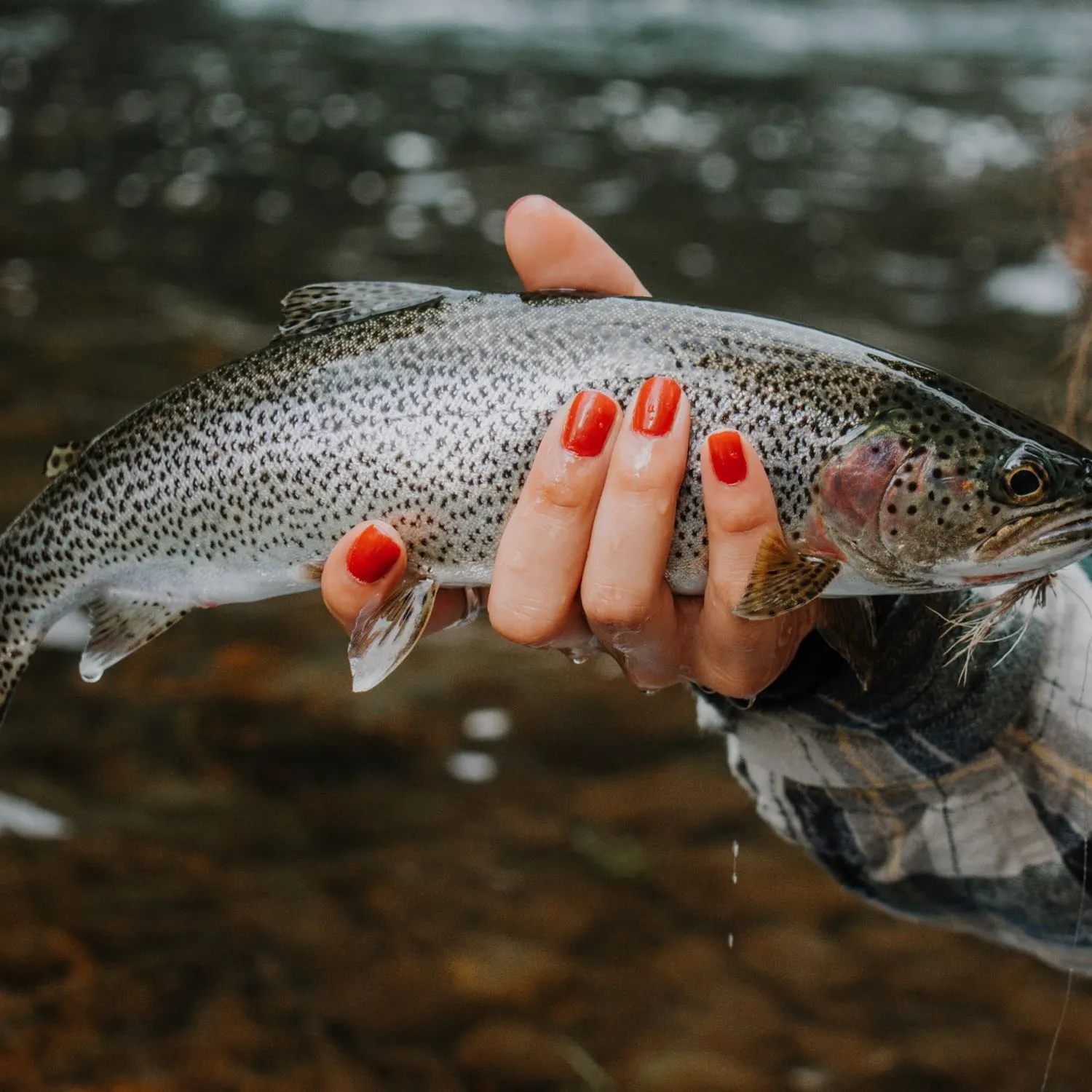 The most recent Coastal cutthroat trout catches on Fishbrain