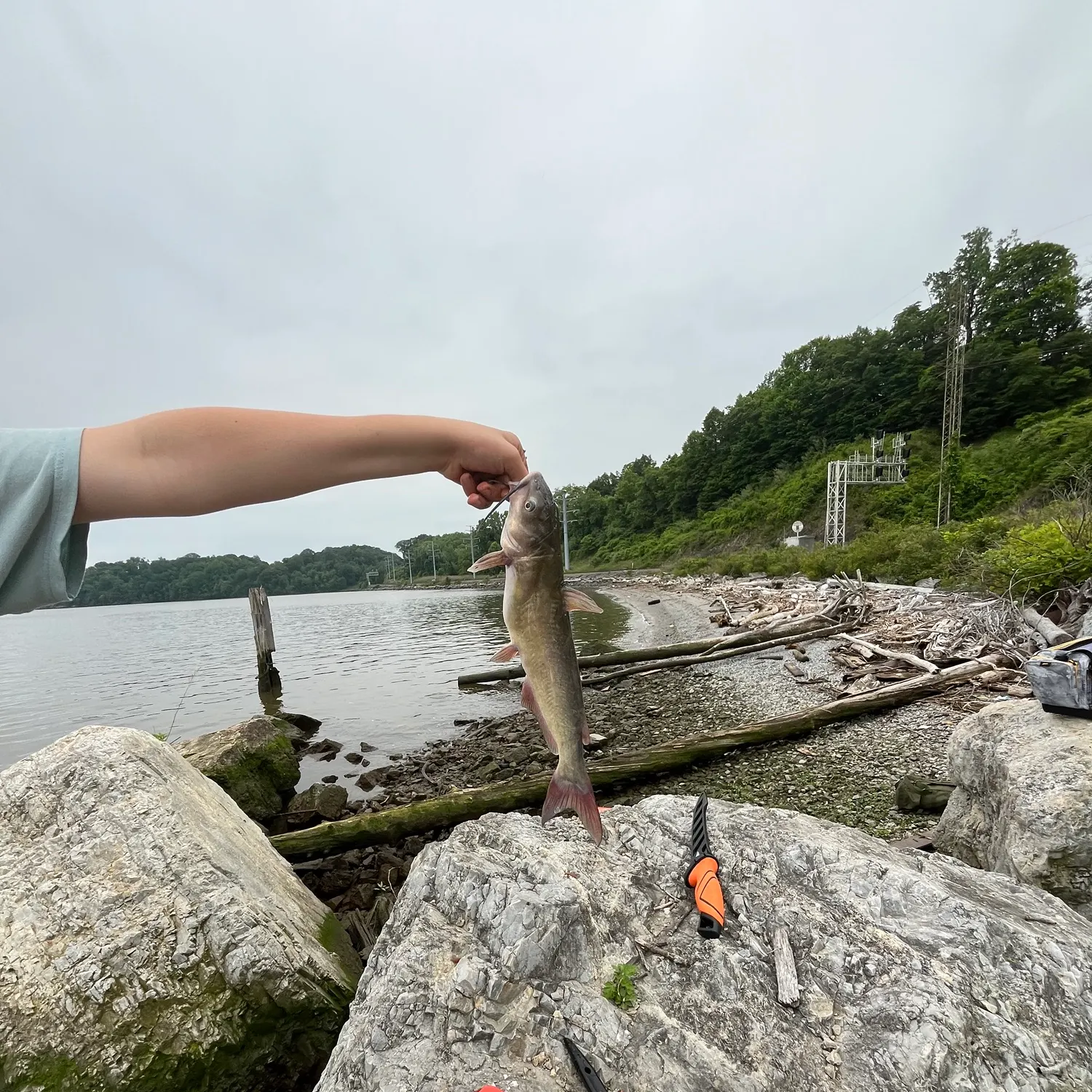 catch
