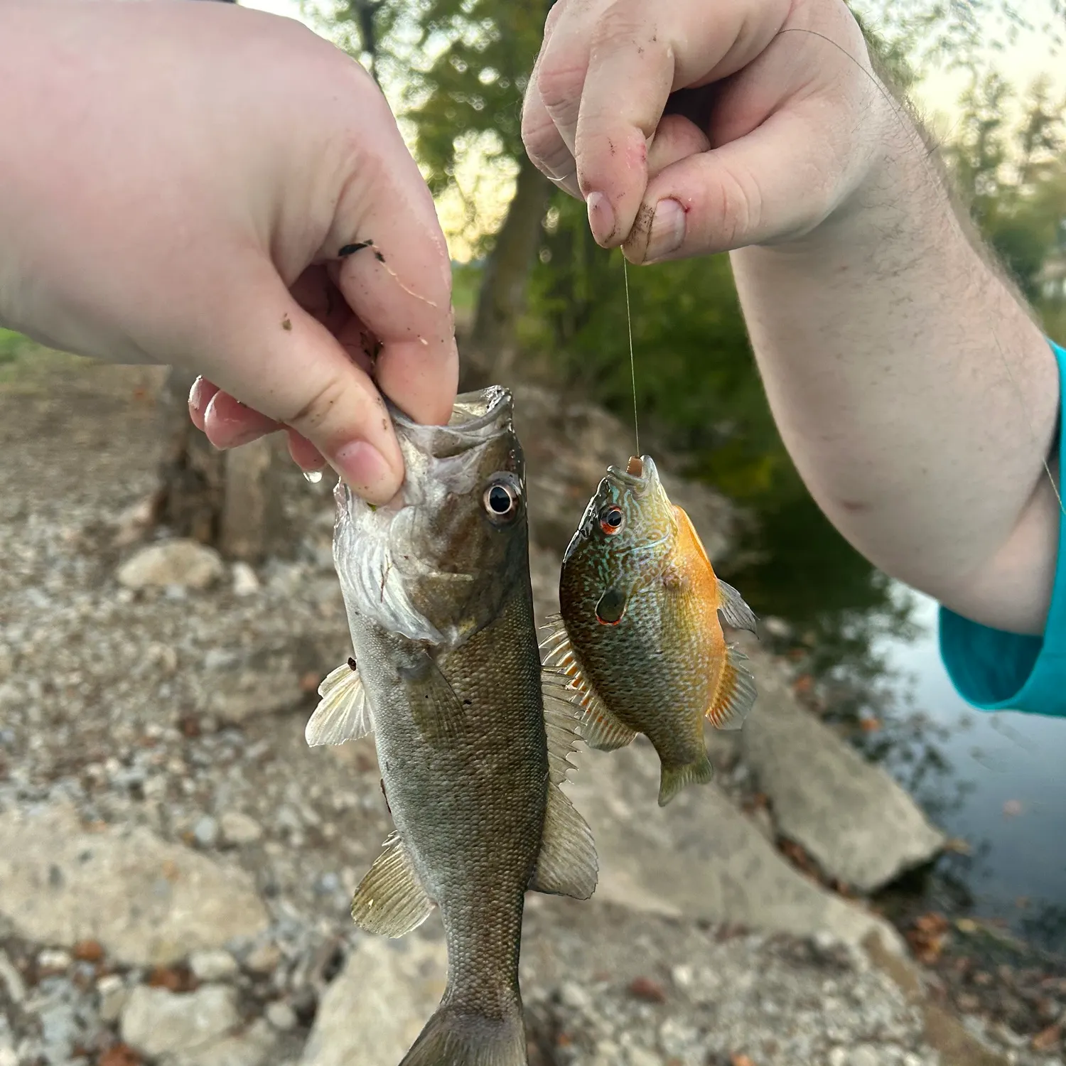 catch