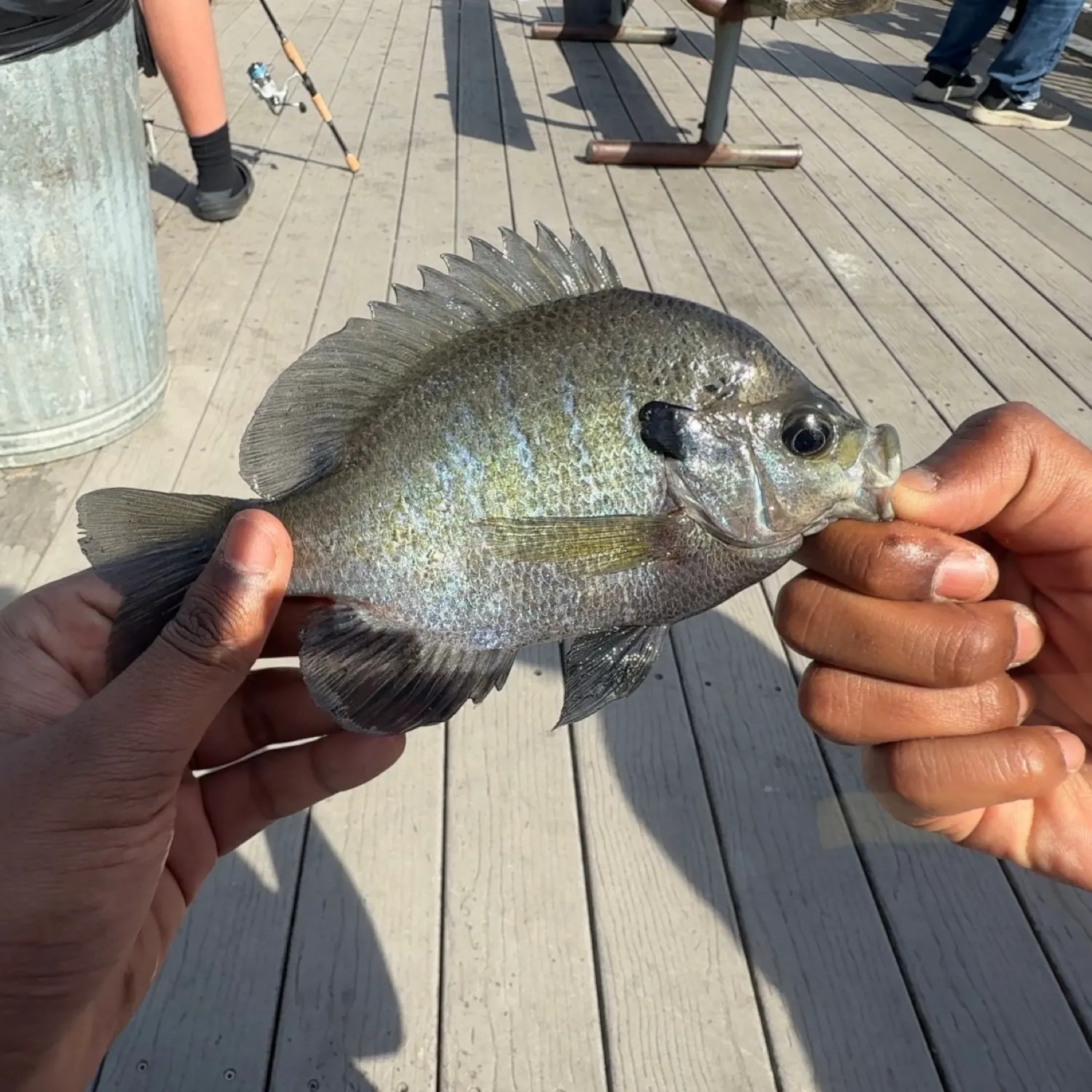 catch