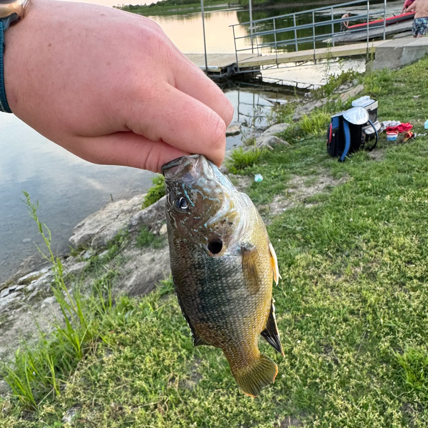 catch