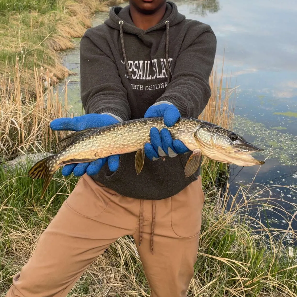 catch