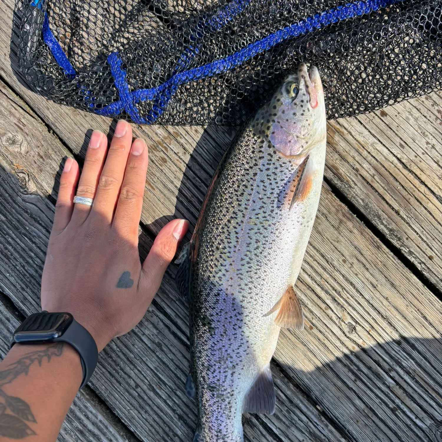 catch