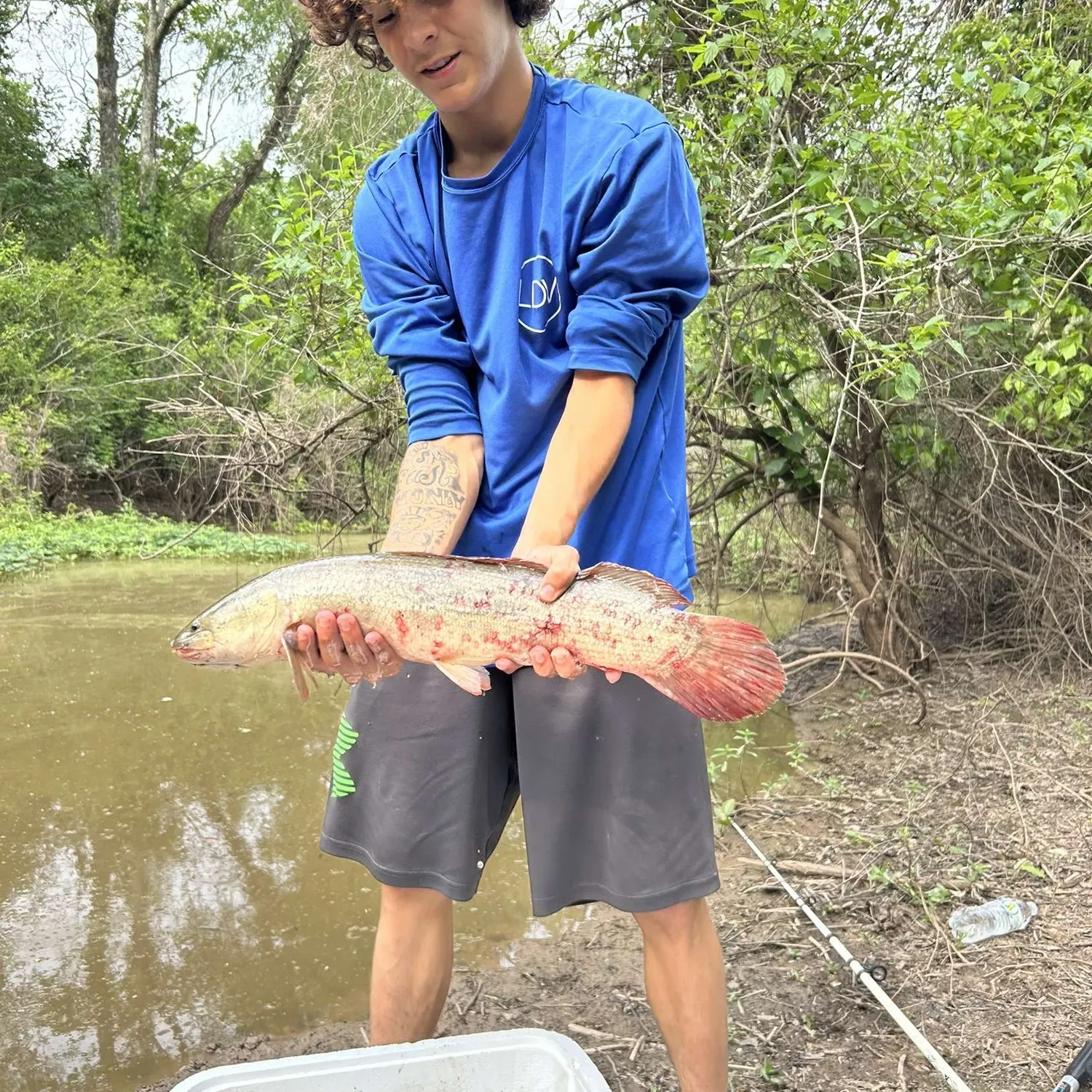 catch