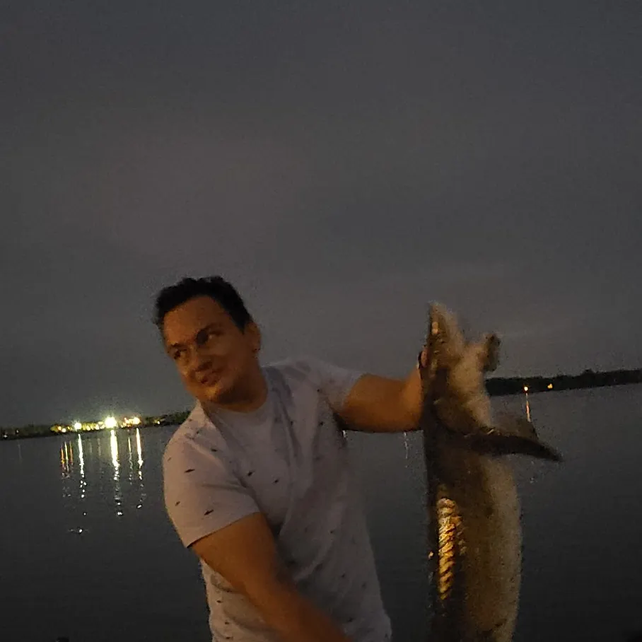 most liked catch image