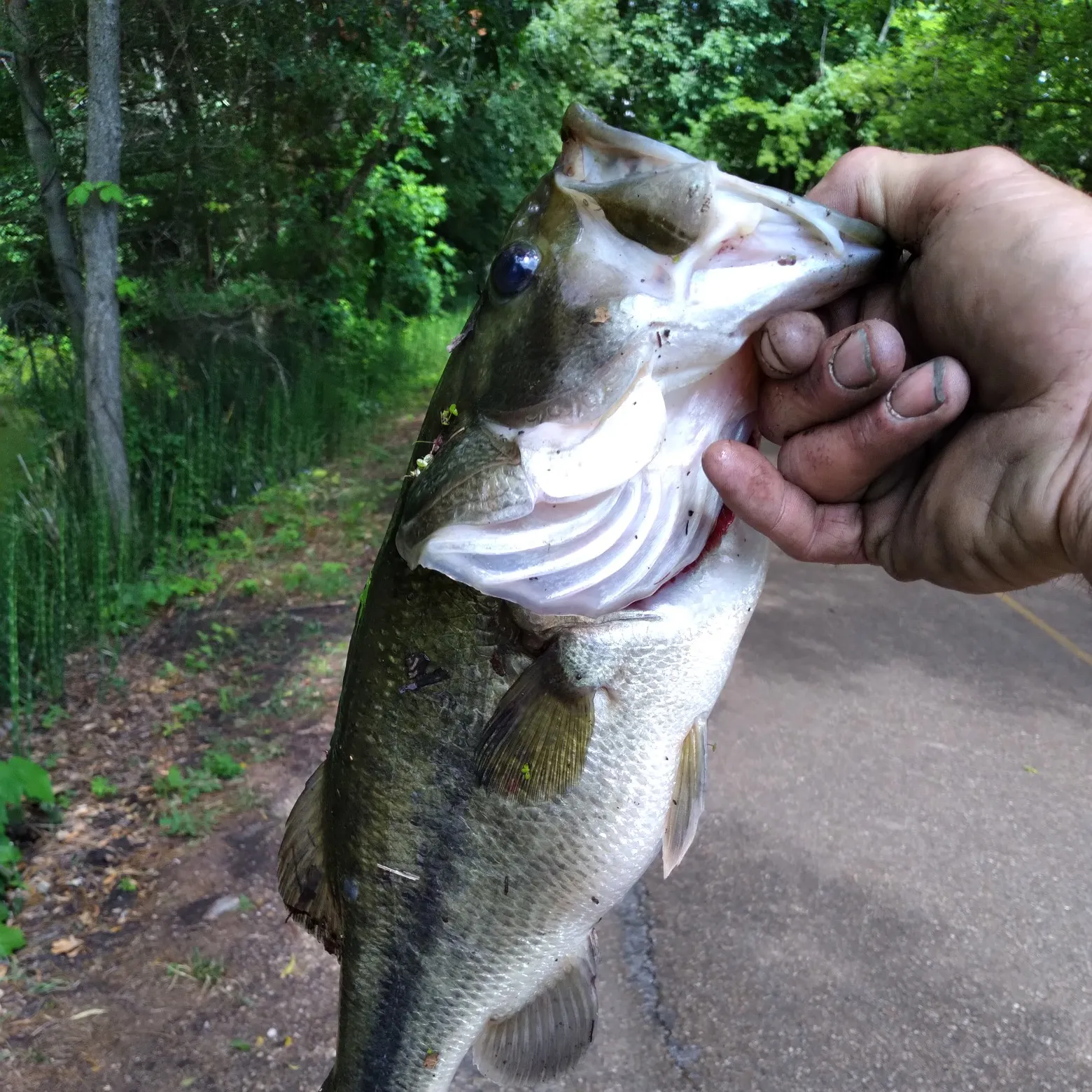 catch