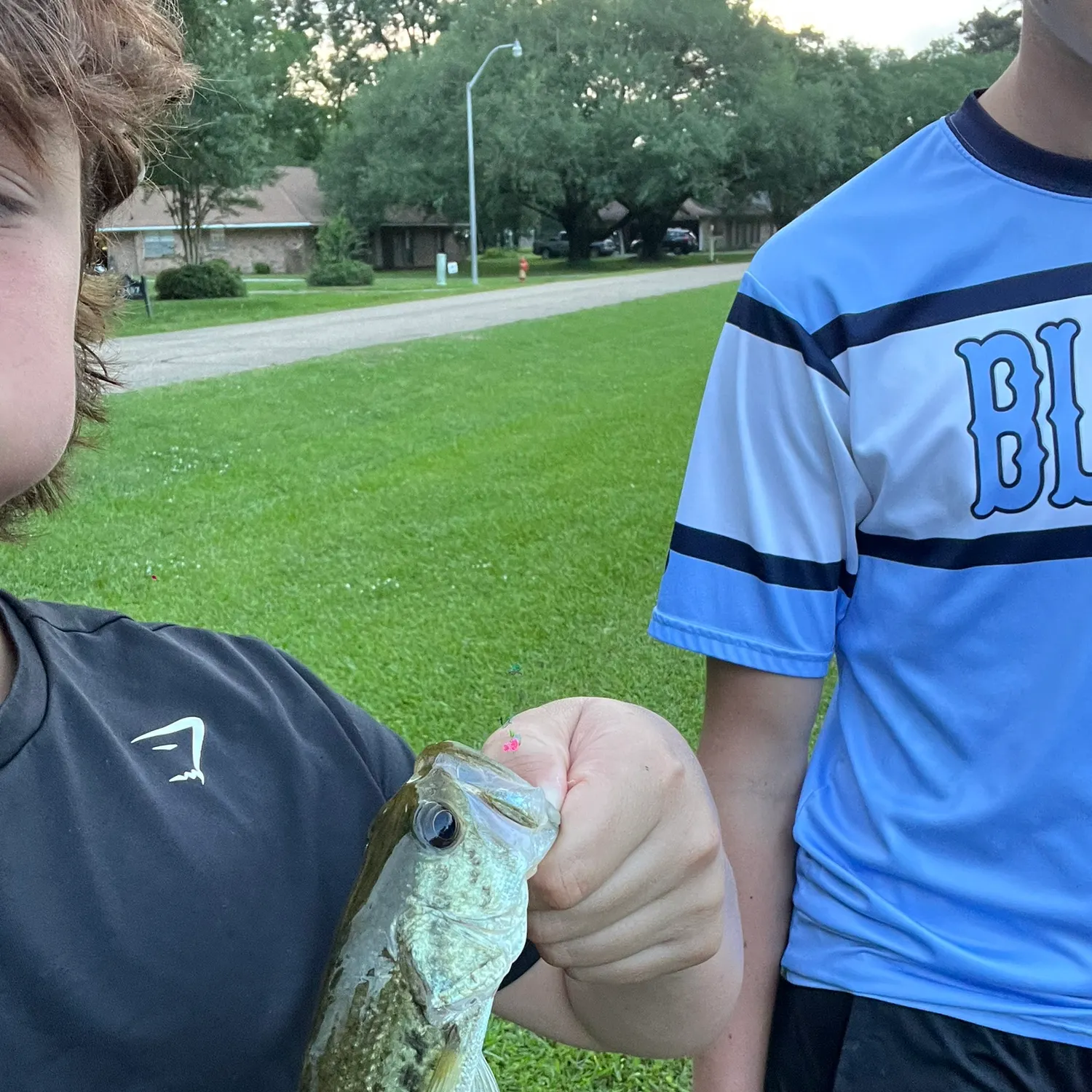 catch