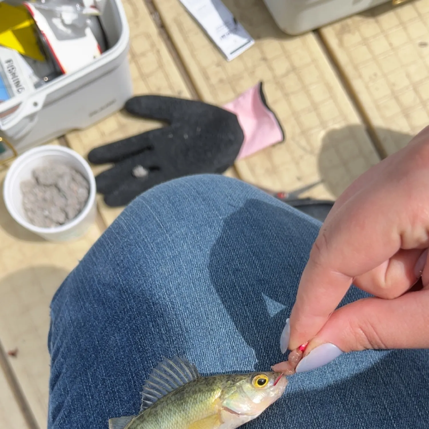 catch