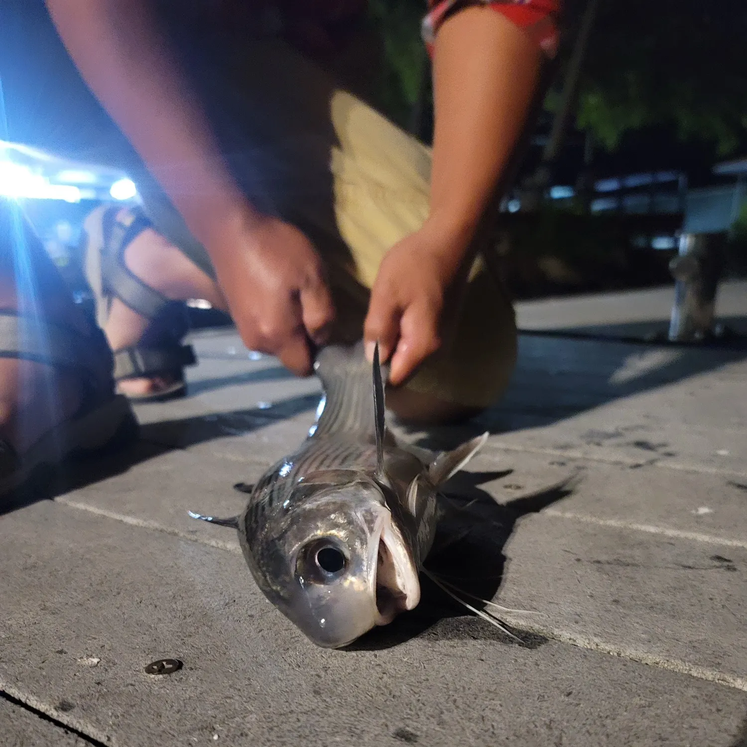 catch