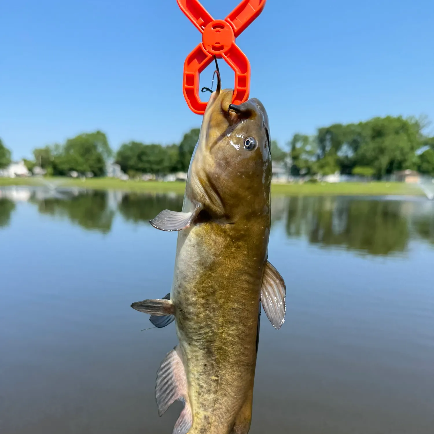 catch