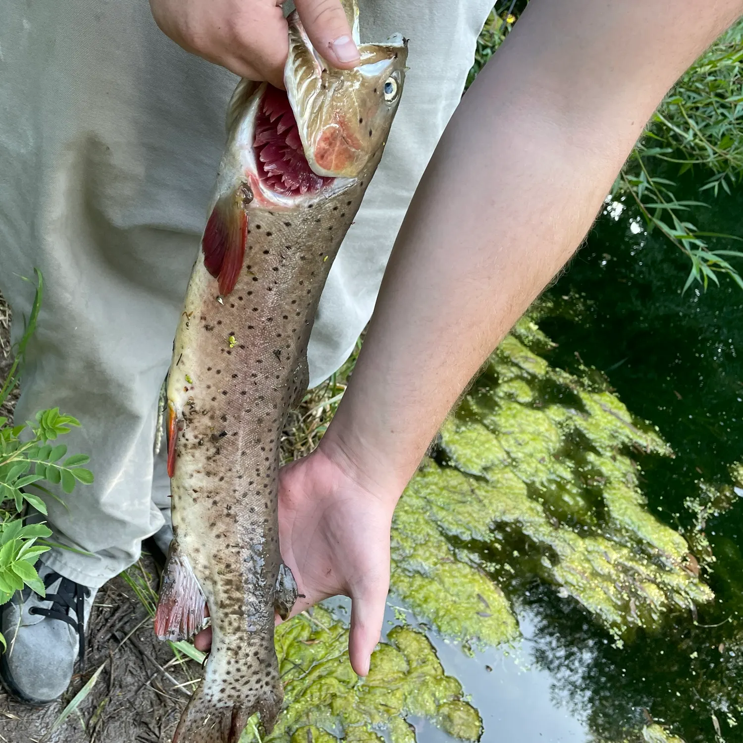 catch