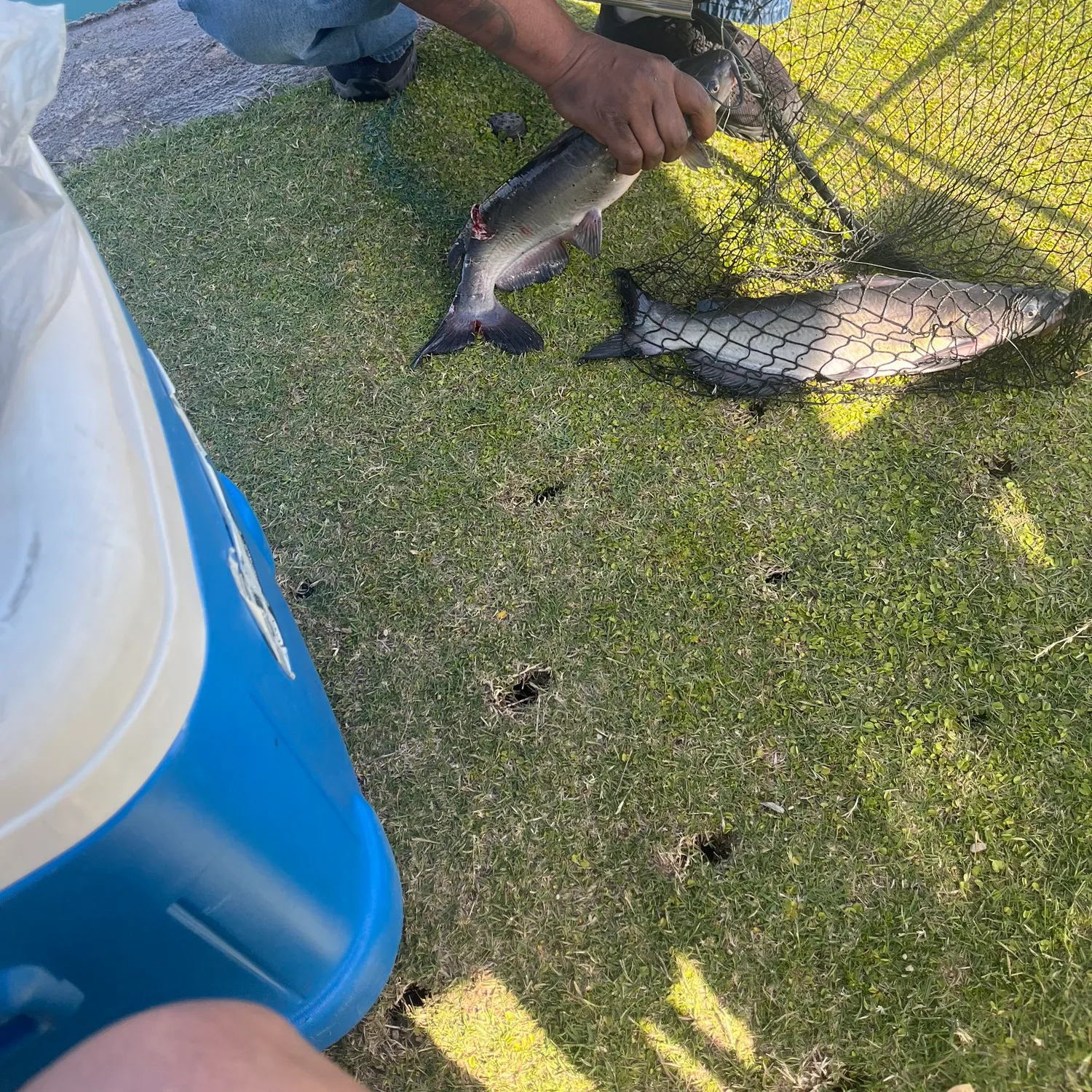 catch
