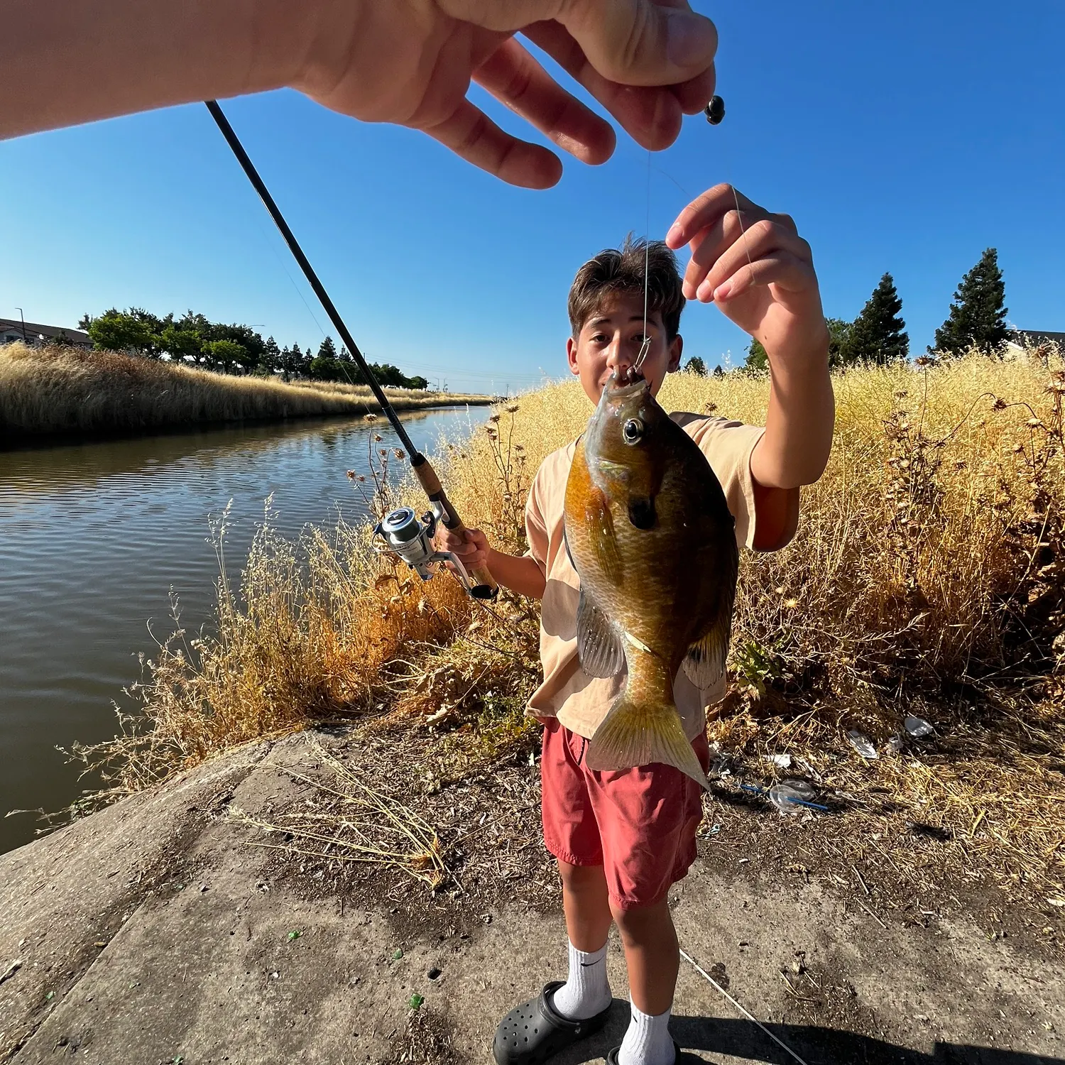 catch