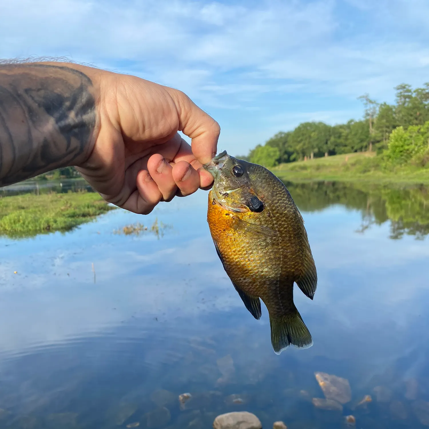 catch